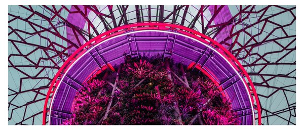 Tablou abstrac - crengi violete (120x50 cm)