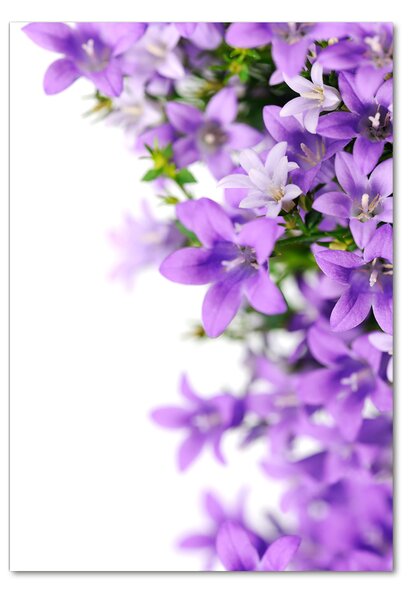 Fotografie imprimată pe sticlă clopote violet