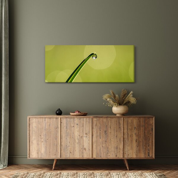 Tablou cu picătură de apă pe iarbă (120x50 cm)