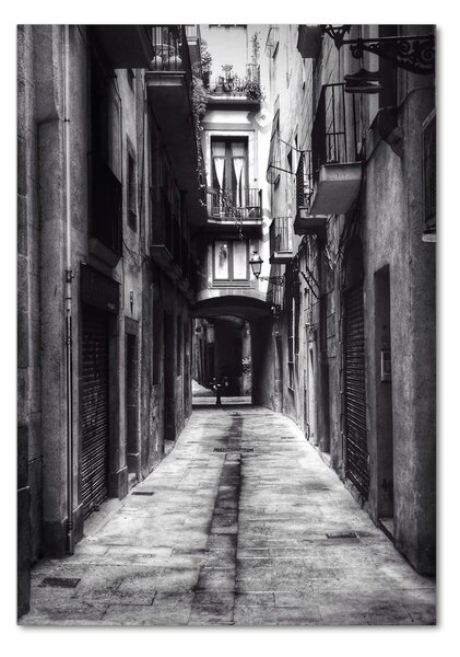 Tablou Printat Pe Sticlă Barcelona, Spania