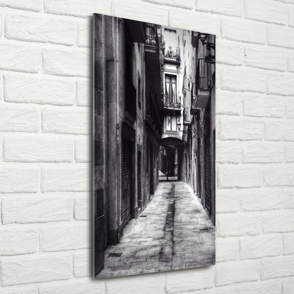 Tablou Printat Pe Sticlă Barcelona, Spania