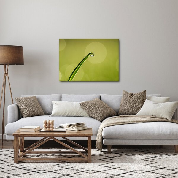 Tablou cu picătură de apă pe iarbă (70x50 cm)