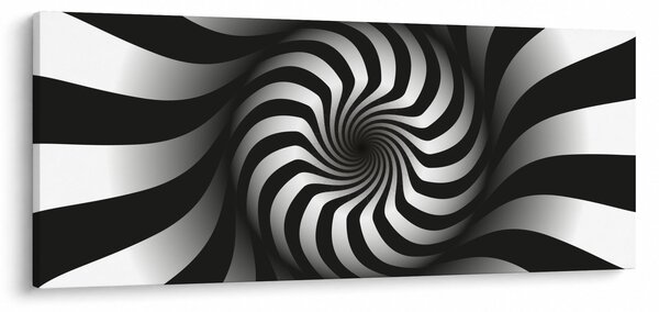 Tablou abstract cu spirala alb neagră (120x50 cm)