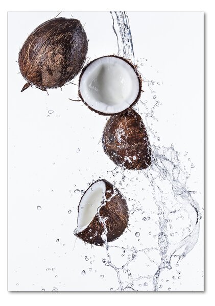 Tablou sticlă nucă de cocos