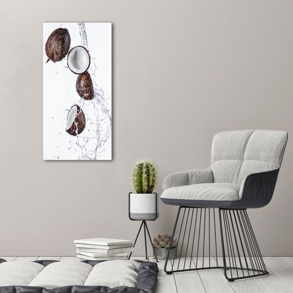 Imprimare tablou canvas nucă de cocos
