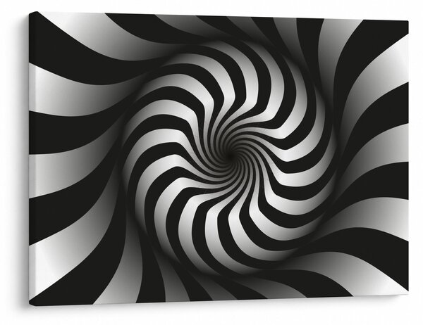 Tablou abstract cu spirala alb neagră (70x50 cm)