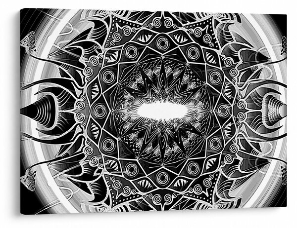 Tablou cu ornamente alb negre (70x50 cm)