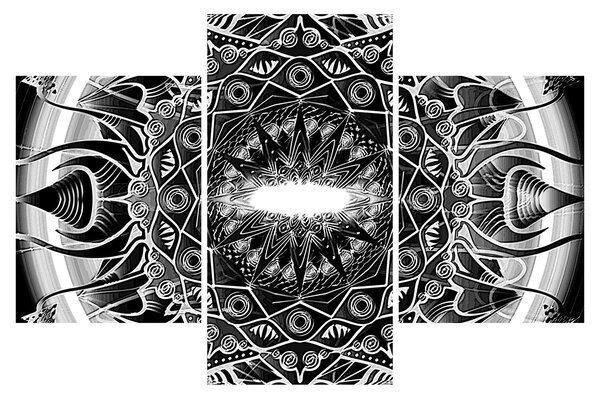 Tablou cu ornamente alb negre (90x60 cm)