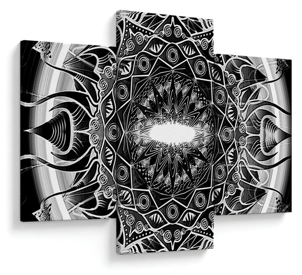 Tablou cu ornamente alb negre (90x60 cm)