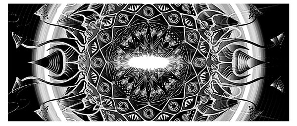 Tablou cu ornamente alb negre (120x50 cm)