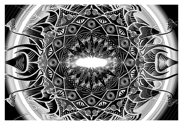 Tablou cu ornamente alb negre (90x60 cm)