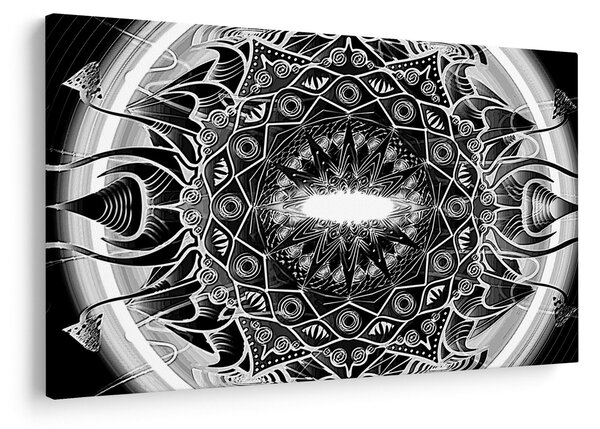 Tablou cu ornamente alb negre (90x60 cm)