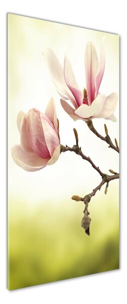 Fotografie imprimată pe sticlă flori magnolia