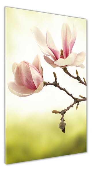 Pictura pe sticlă acrilică flori magnolia