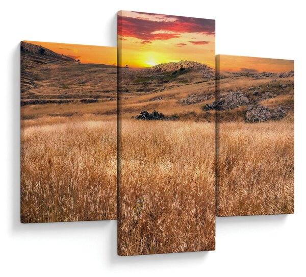 Tablou cu câmp (90x60 cm)