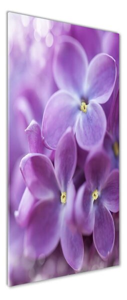 Tablou din Sticlă flori de liliac