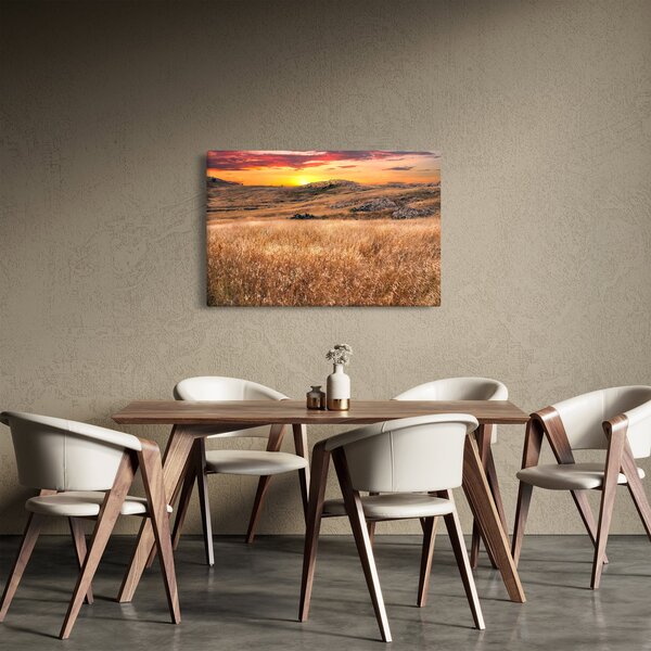 Tablou cu câmp (90x60 cm)