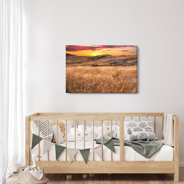 Tablou cu câmp (90x60 cm)