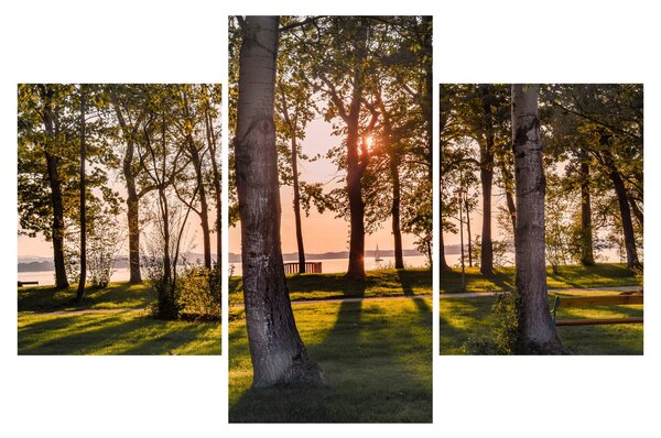 Tablou cu pomi lângă lac (90x60 cm)