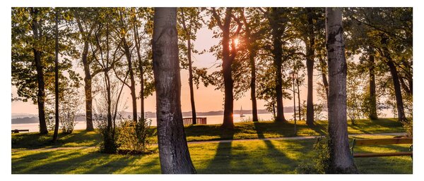 Tablou cu pomi lângă lac (120x50 cm)
