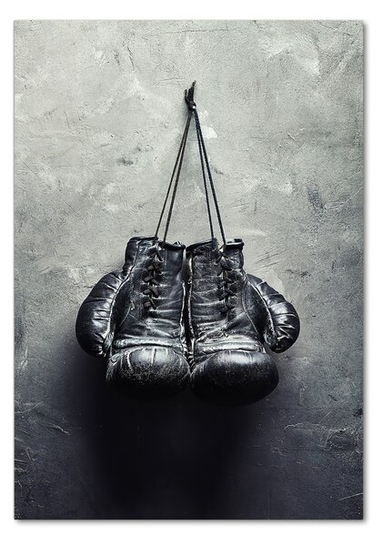 Fotografie imprimată pe sticlă Manusi de box