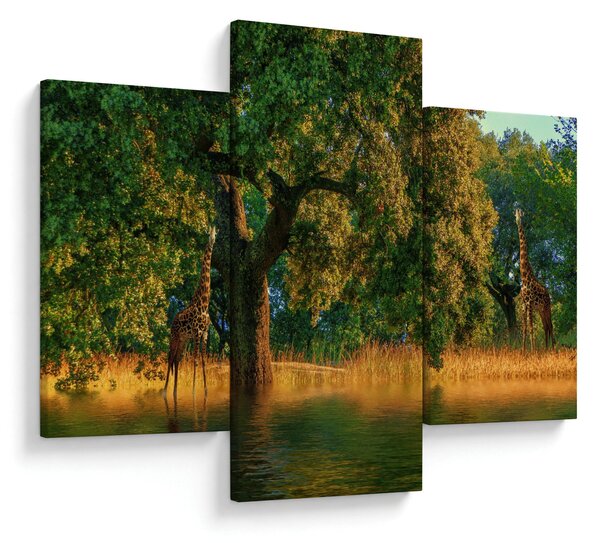 Tablou cu girafe în natură (90x60 cm)