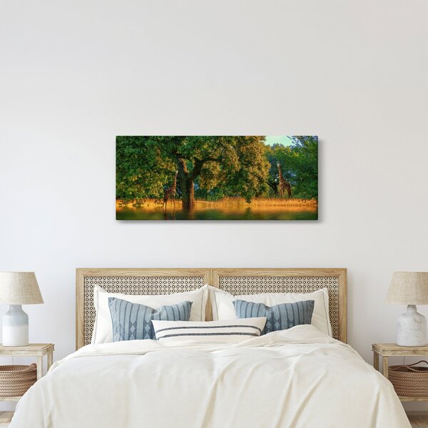 Tablou cu girafe în natură (120x50 cm)