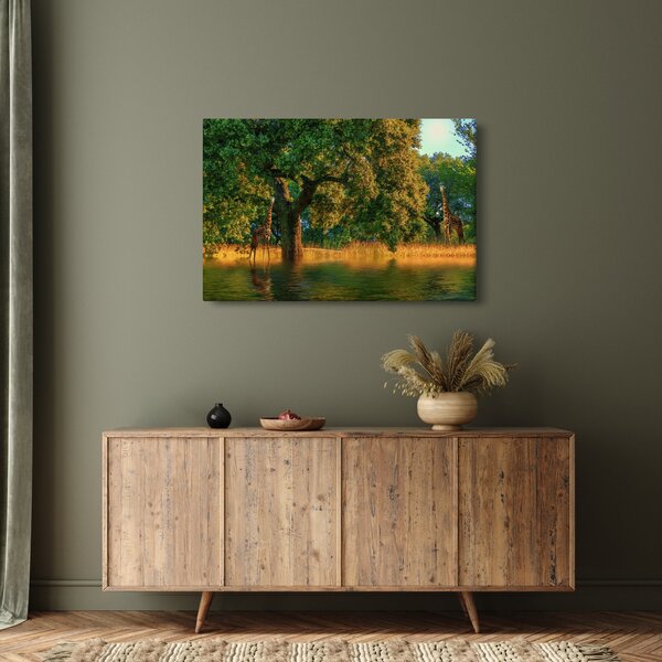 Tablou cu girafe în natură (90x60 cm)