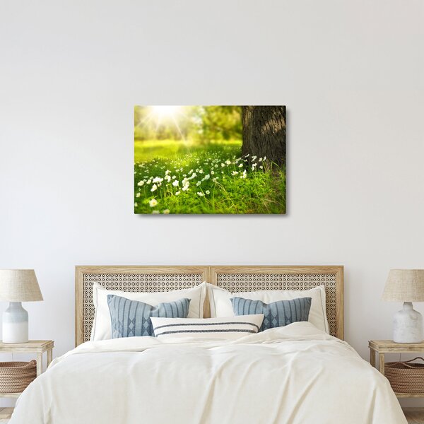 Tablou cu poiana și flori (70x50 cm)