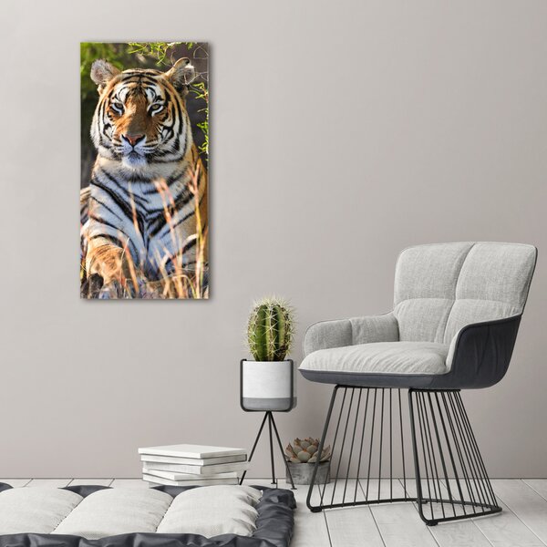 Tablou pe pânză canvas Tigru