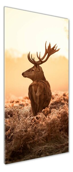 Tablou Printat Pe Sticlă Sunrise Deer