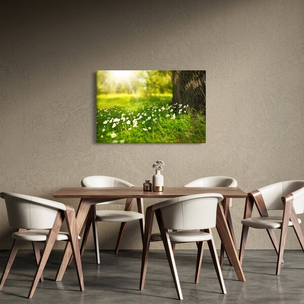Tablou cu poiana și flori (90x60 cm)