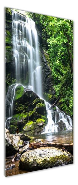 Fotografie imprimată pe sticlă Cascada din junglă