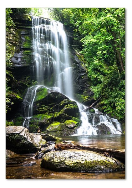 Fotografie imprimată pe sticlă Cascada din junglă