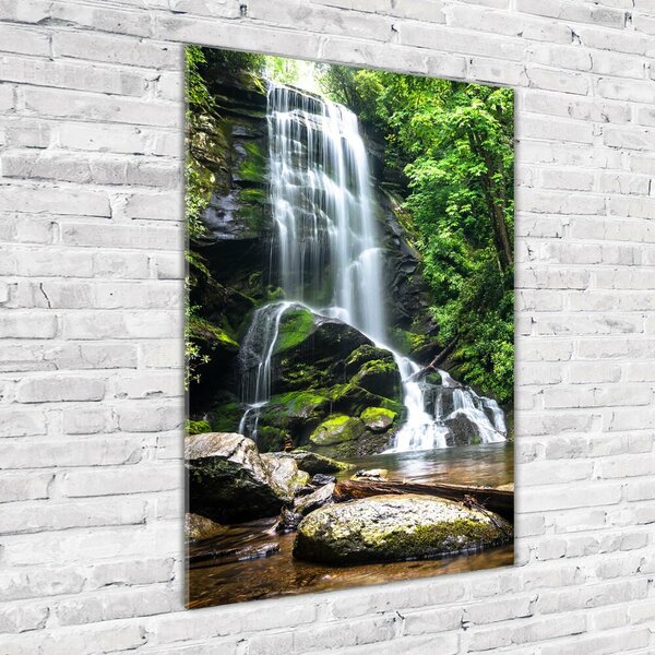 Fotografie imprimată pe sticlă Cascada din junglă