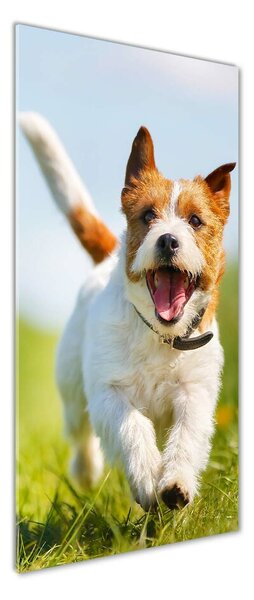 Tablou sticlă câine Jack Russell