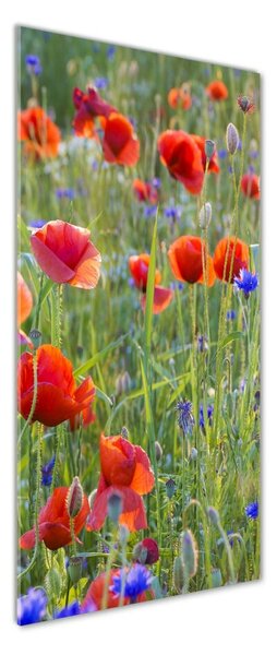 Tablou sticlă wildflowers maci