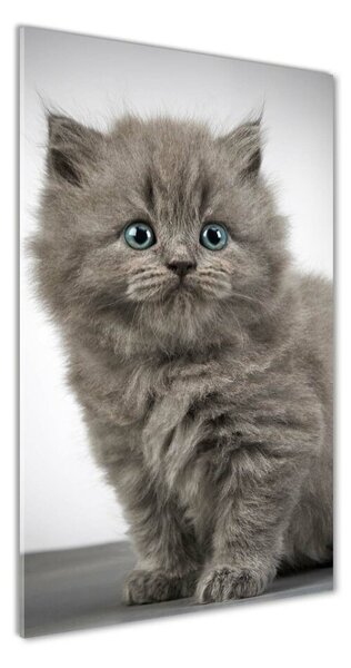 Fotografie imprimată pe sticlă pisică gri britanic