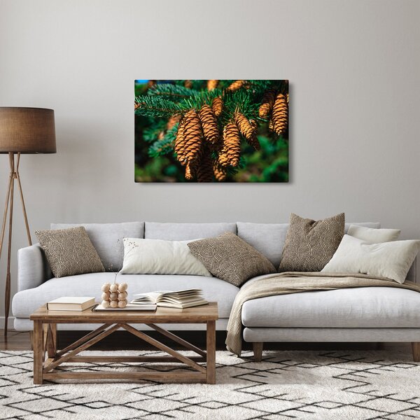Tablou cu con de brad (90x60 cm)