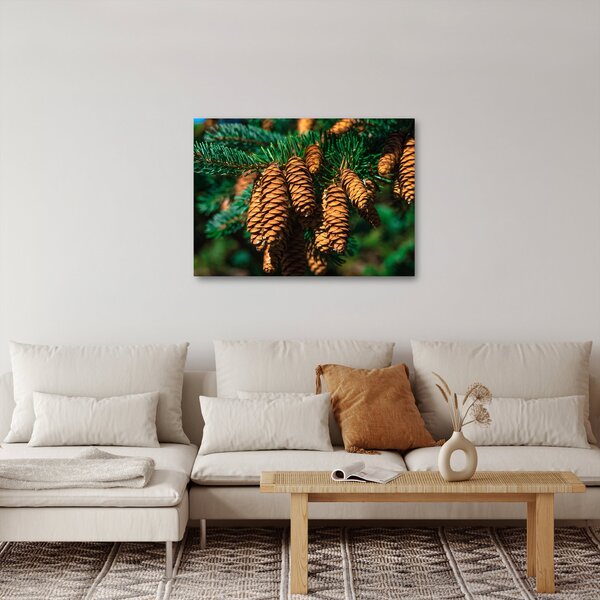 Tablou cu con de brad (70x50 cm)