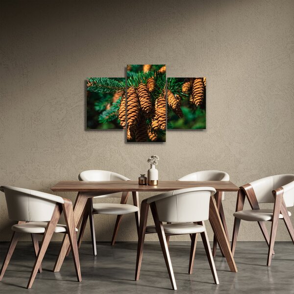 Tablou cu con de brad (90x60 cm)