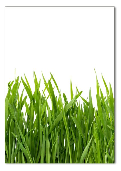 Tablou sticlă iarbă verde