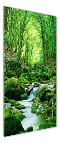 Fotografie imprimată pe sticlă Stream în junglă