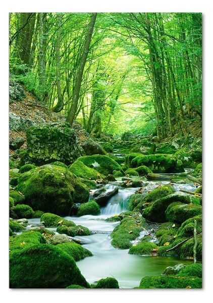 Fotografie imprimată pe sticlă Stream în junglă