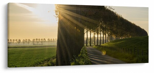 Tablou cu alee (120x50 cm)