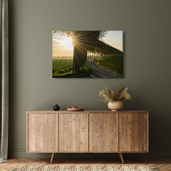 Tablou cu alee (90x60 cm)