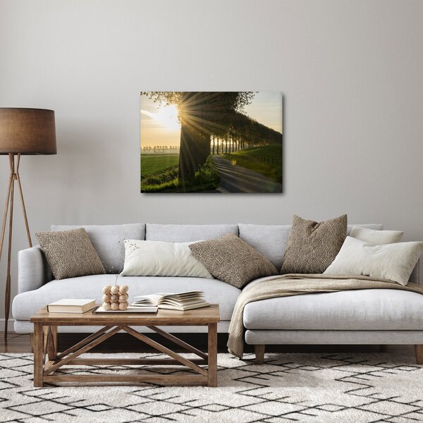 Tablou cu alee (70x50 cm)