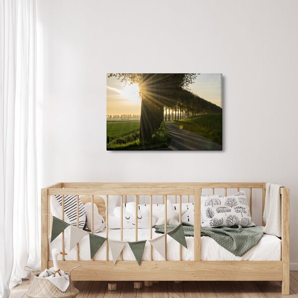 Tablou cu alee (90x60 cm)