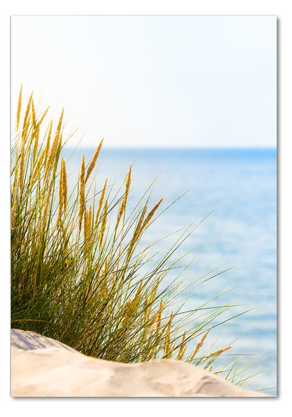 Tablou din Sticlă dune de coastă
