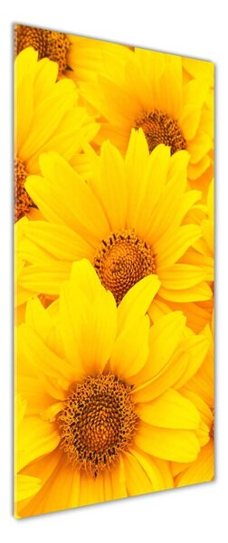 Tablou sticlă Floarea soarelui